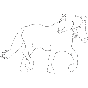 Walking Horse coloring page