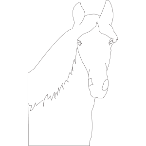 Horse 2 coloring page