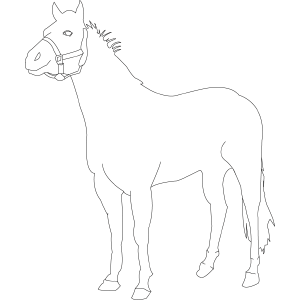 Horse 5 coloring page