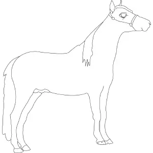 Standing Horse coloring page