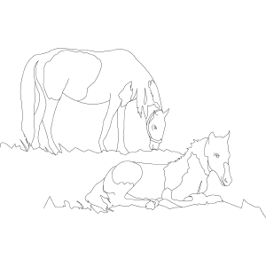 Horse and Foal coloring page
