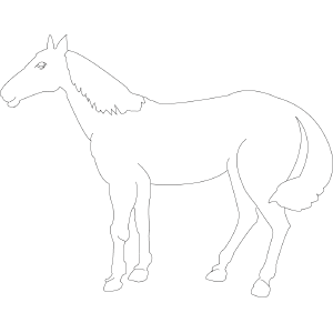 Horse coloring page