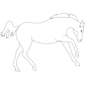 Horse 3 coloring page