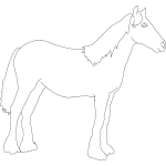 Horse Standing