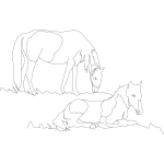 Horse and Foal