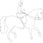 Fancy Horse