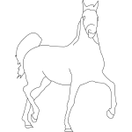 Horse 6